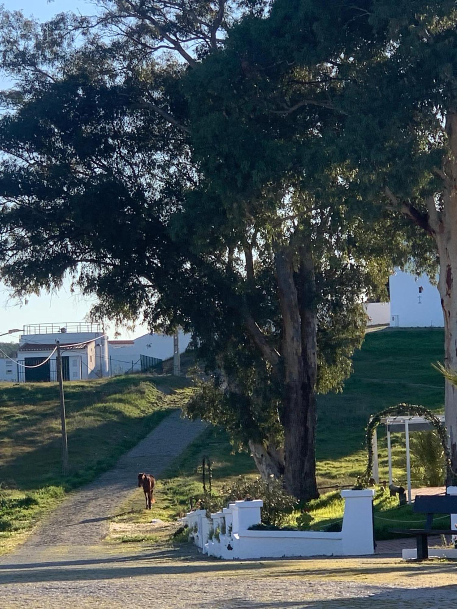 Holiday home O Recanto Do Sossego Mertola